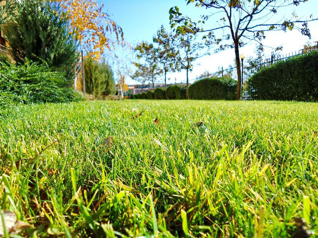 Oxygen Apartments Sveti Vlas Bagian luar foto